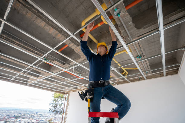 Best Commercial Plumbing Services  in Louisville, NE