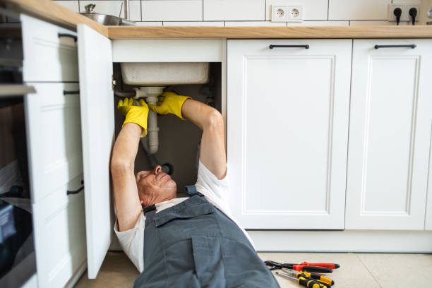 Best Residential Plumbing Services  in Louisville, NE